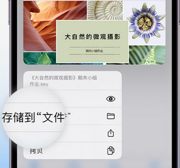 尖山apple维修中心分享iPhone文件应用中存储和找到下载文件