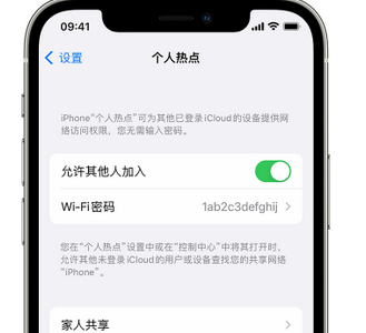 尖山apple服务站点分享iPhone上个人热点丢失了怎么办 