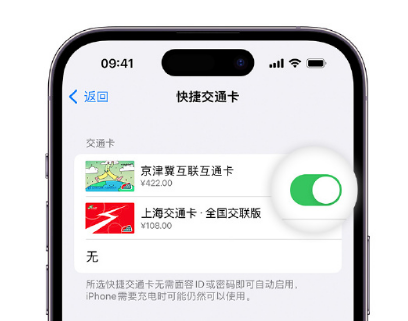 尖山apple维修点分享iPhone上更换Apple Pay快捷交通卡手绘卡面 