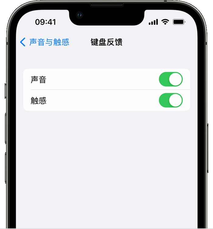 尖山苹果14维修店分享如何在 iPhone 14 机型中使用触感键盘 