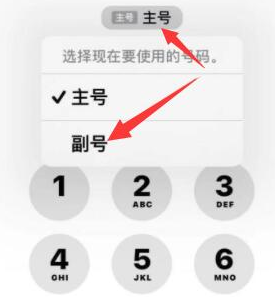 尖山苹果14维修店分享iPhone 14 Pro Max使用副卡打电话的方法 