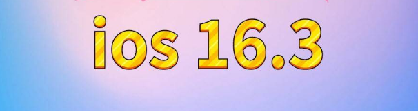 尖山苹果服务网点分享苹果iOS16.3升级反馈汇总 