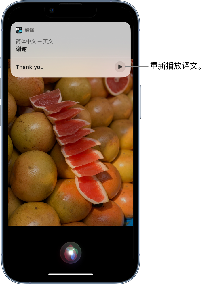 尖山苹果14维修分享 iPhone 14 机型中使用 Siri：了解 Siri 能帮你做什么 