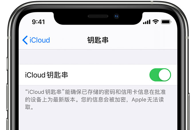 尖山苹果手机维修分享在 iPhone 上开启 iCloud 钥匙串之后会储存哪些信息 