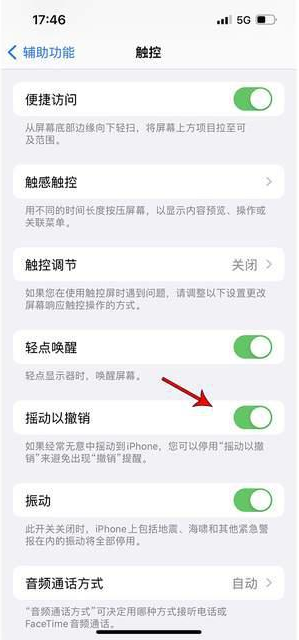 尖山苹果手机维修分享iPhone手机如何设置摇一摇删除文字 