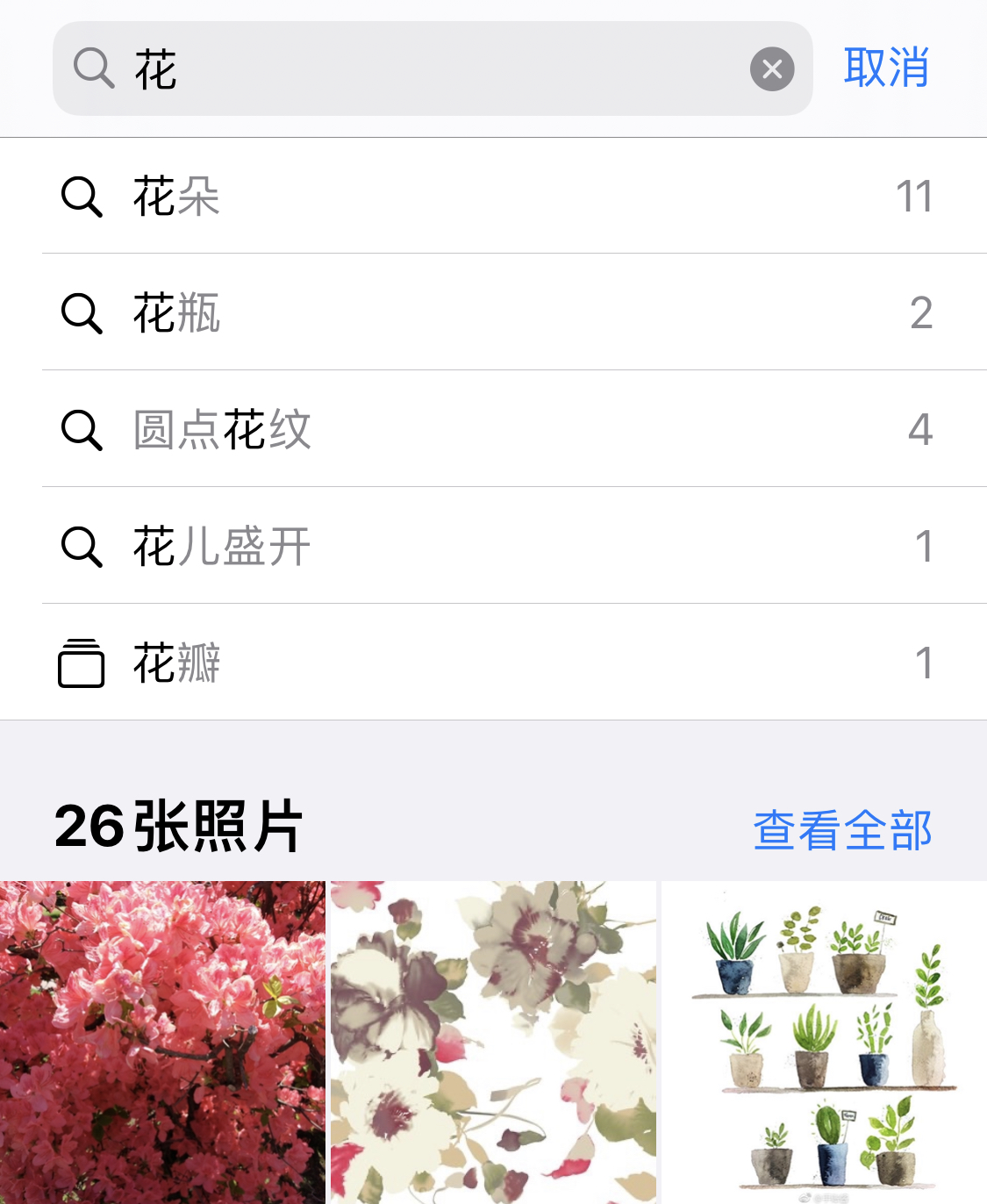 尖山苹果手机维修分享iPhone 小技巧 