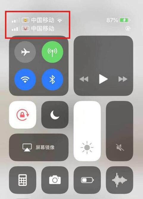 尖山苹果手机维修分享为 iPhone 12 双卡设置标签 